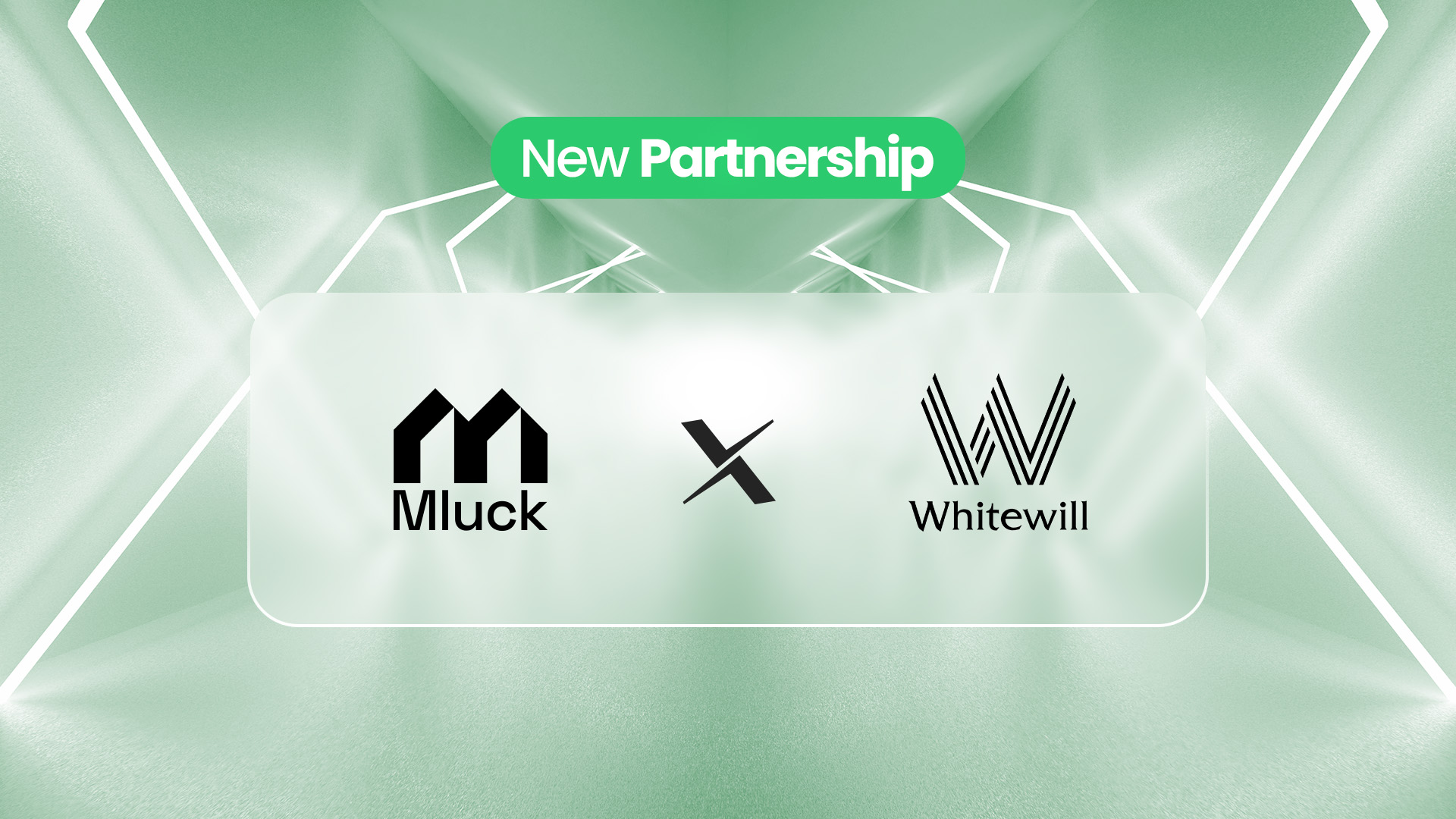 You are currently viewing Mluck x Whitewill